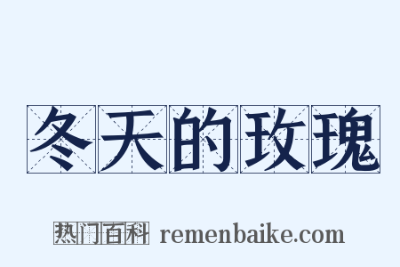 冬天的玫瑰是什么意思的图片